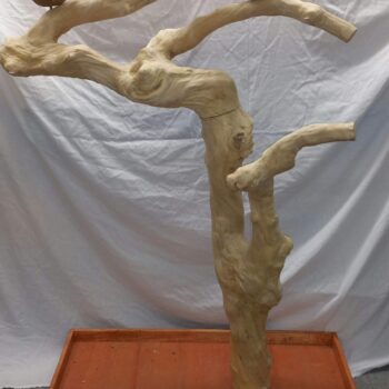 Special order tree
