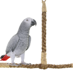 Sisal Swing MD