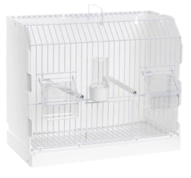 2GR Exposition Cage with 3 Doors and High Feeders Art. 315/FB3A