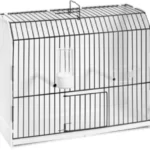 2GR Exposition Cage with 1 Door and Black Frontal Art. 315/FN1