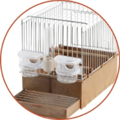 2GR Songbird Cage Art. 020 - Image 3